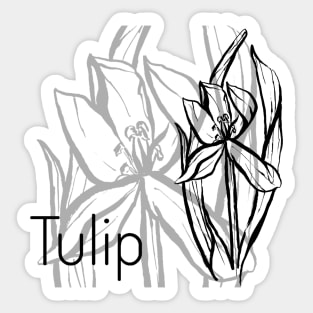 Tulip Sticker